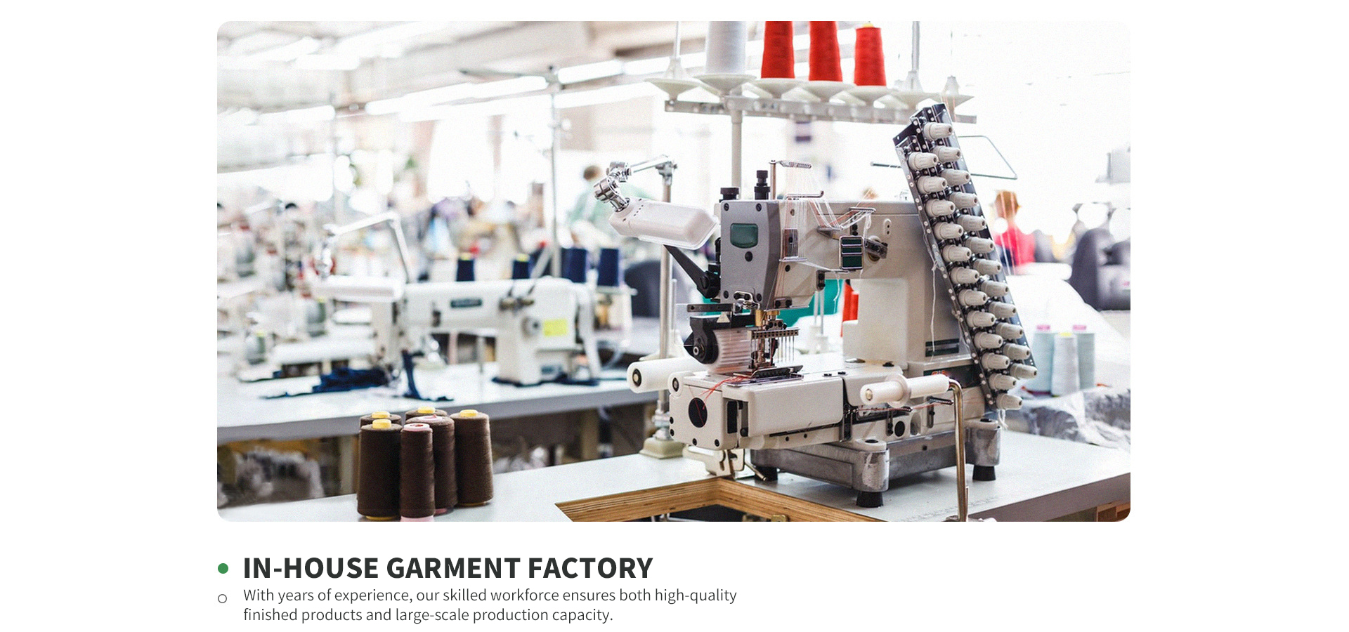 DM_20260221143734_001